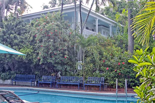 Some of the wonderful Key West foliage around the Equator Resort clothing optional pool area. (Image via Tammye Nash)