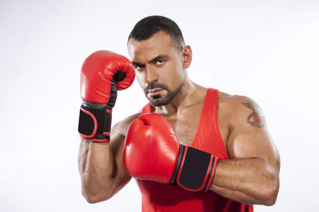 styles large public images blog posts Ryan Shea 2018 07 12 raph2