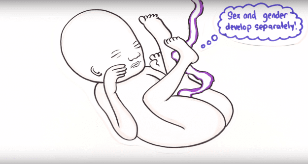 styles large public images blog posts Adam Dupuis 2018 09 22 Screen Shot 2018 09 20 at 7.23.37 PM