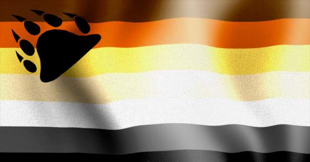 Credit: Screenshot styles large public images blog posts Ryan Shea 2018 09 02 bear2