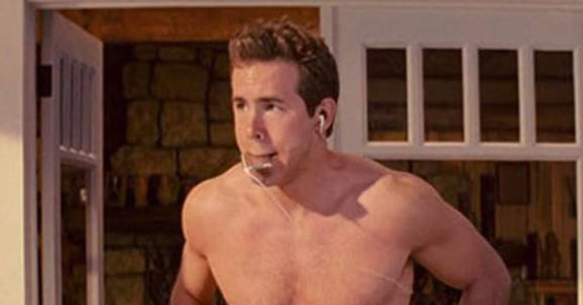 reynolds1.jpg