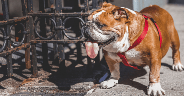 styles large public images blog posts David Lopez 2018 11 01 Copy of Copy of 1200px x 630px %E2%80%93 Untitled Design 0