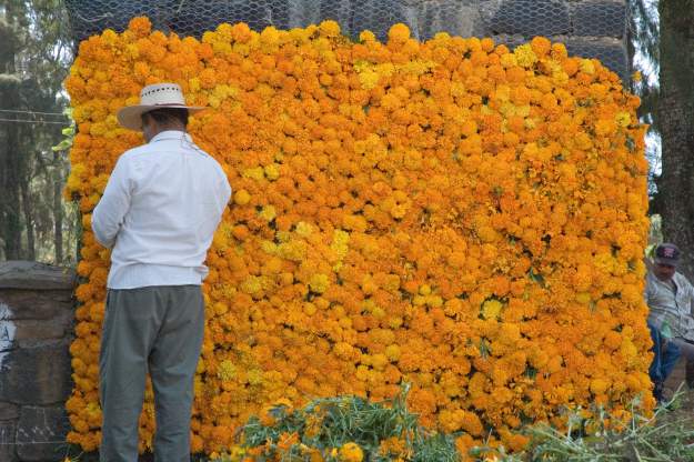 styles large public images blog posts David Lopez 2018 11 02 3119728196 77d0334b8c o