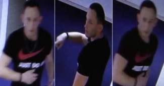 styles medium public images blog posts Adam Dupuis 2018 11 15 SydneyFall