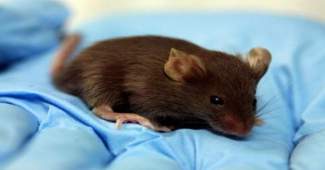 styles medium public images blog posts Adam Dupuis 2018 12 13 f6a19e02 80cd 4fef add7 1d45fb772b21