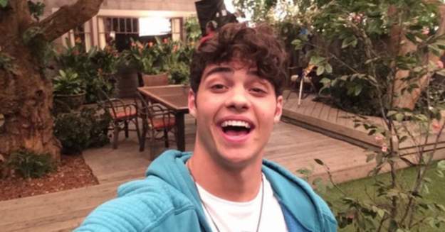 styles large public images blog posts Ryan Shea 2019 01 05 noah1