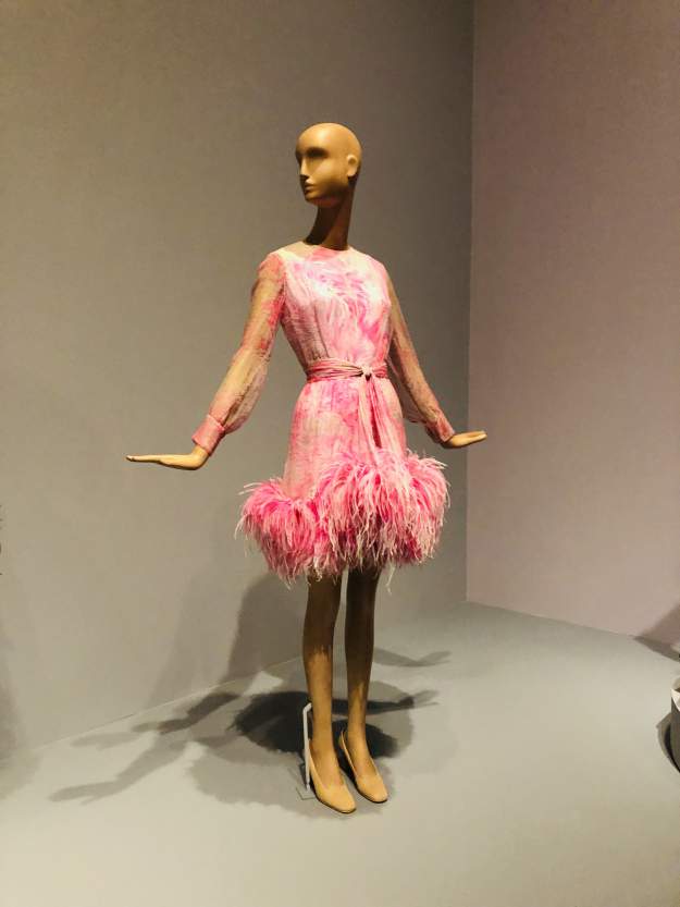 styles large public images blog posts Michael Cook 2019 02 06 IMG 5042