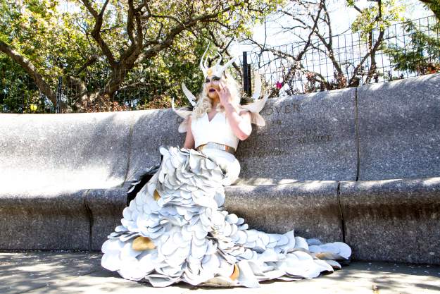 styles large public images blog posts Michael Cook 2019 02 06 ladychamp 373