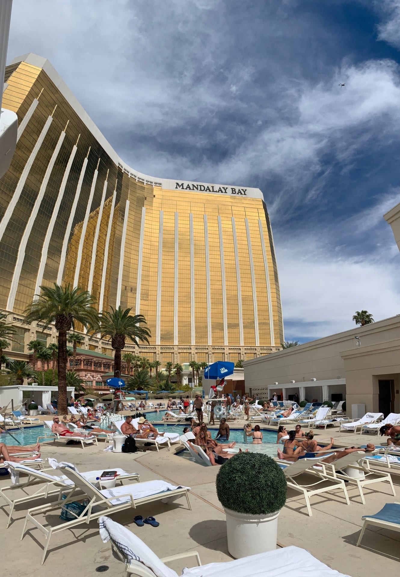 IMG 7263 e1572557662406