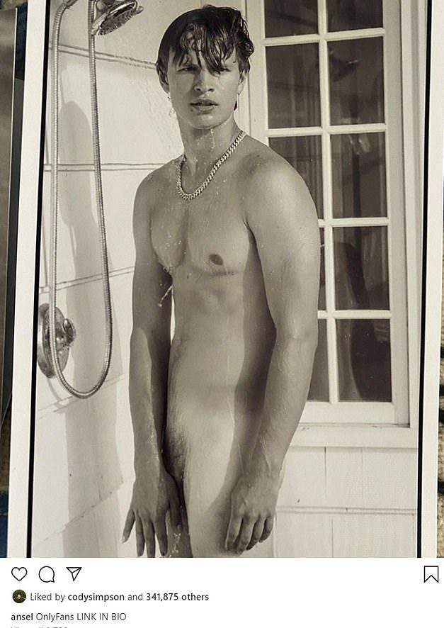 InstinctAnselElgortFull