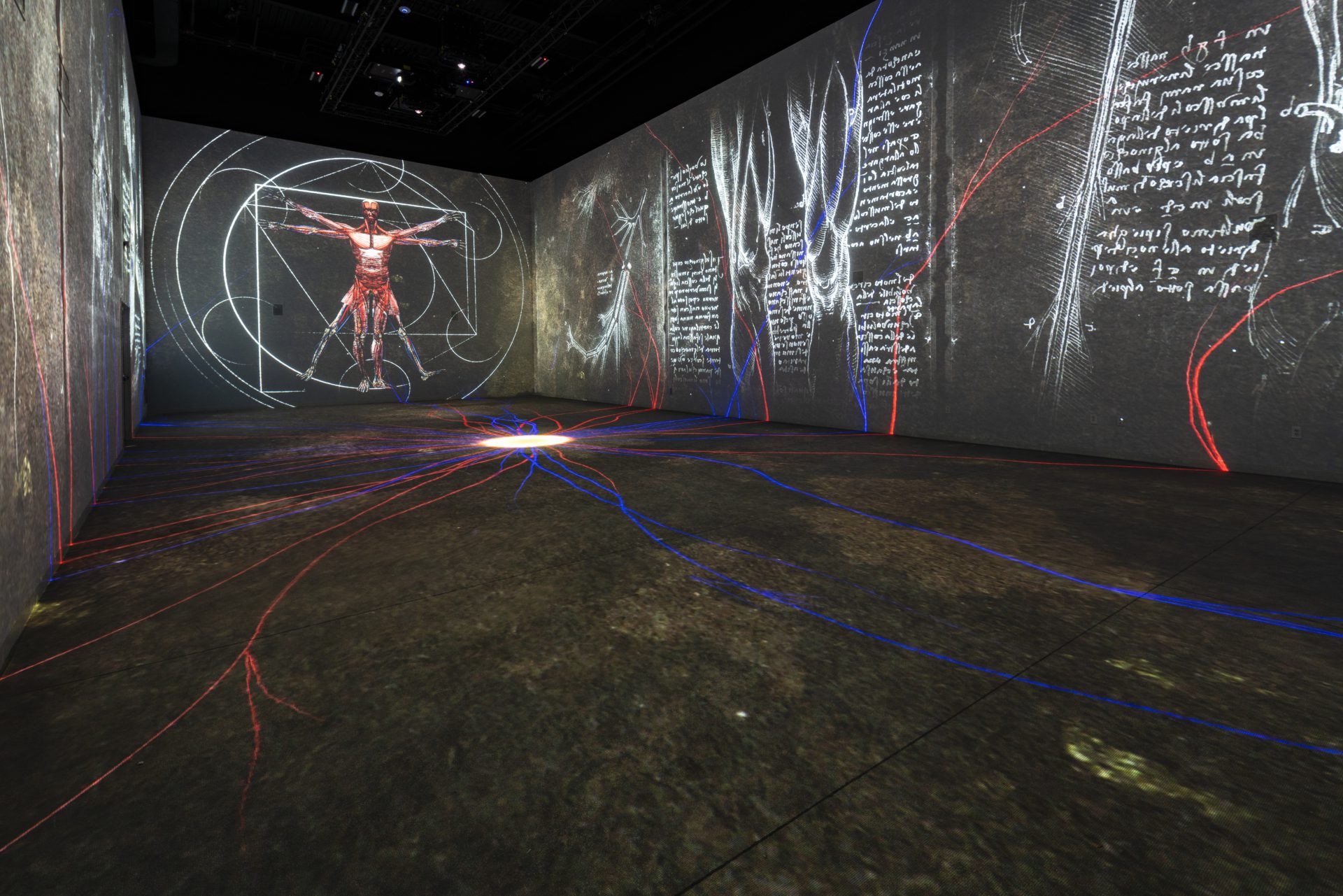 PERCEPTION Las Vegas Main Gallery Vitruvian Man scaled