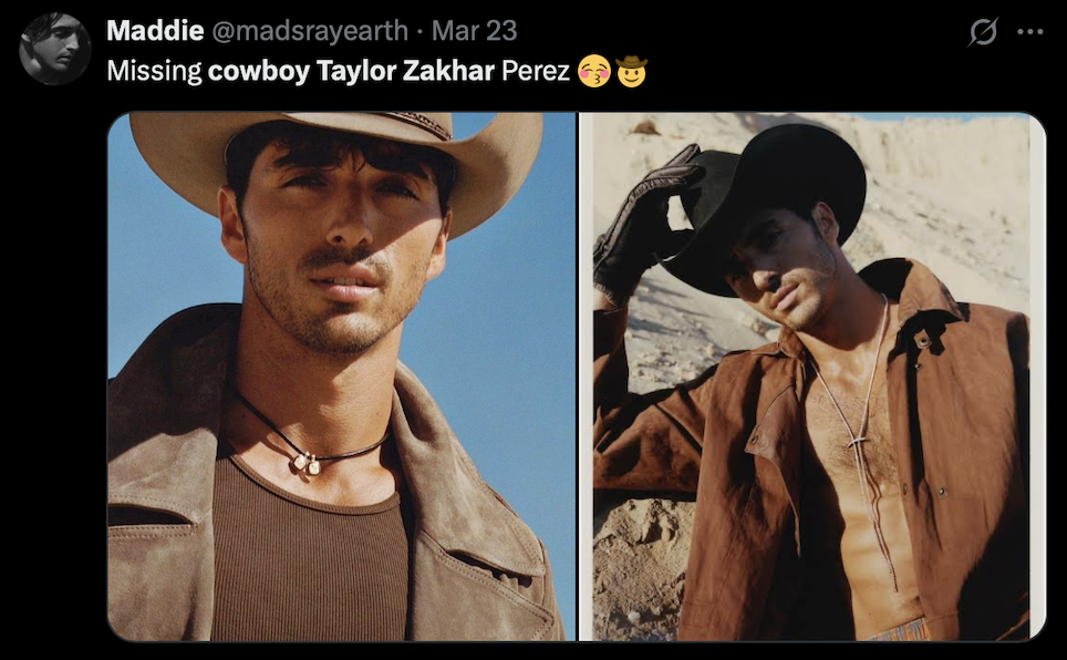 tzp cowboy 1