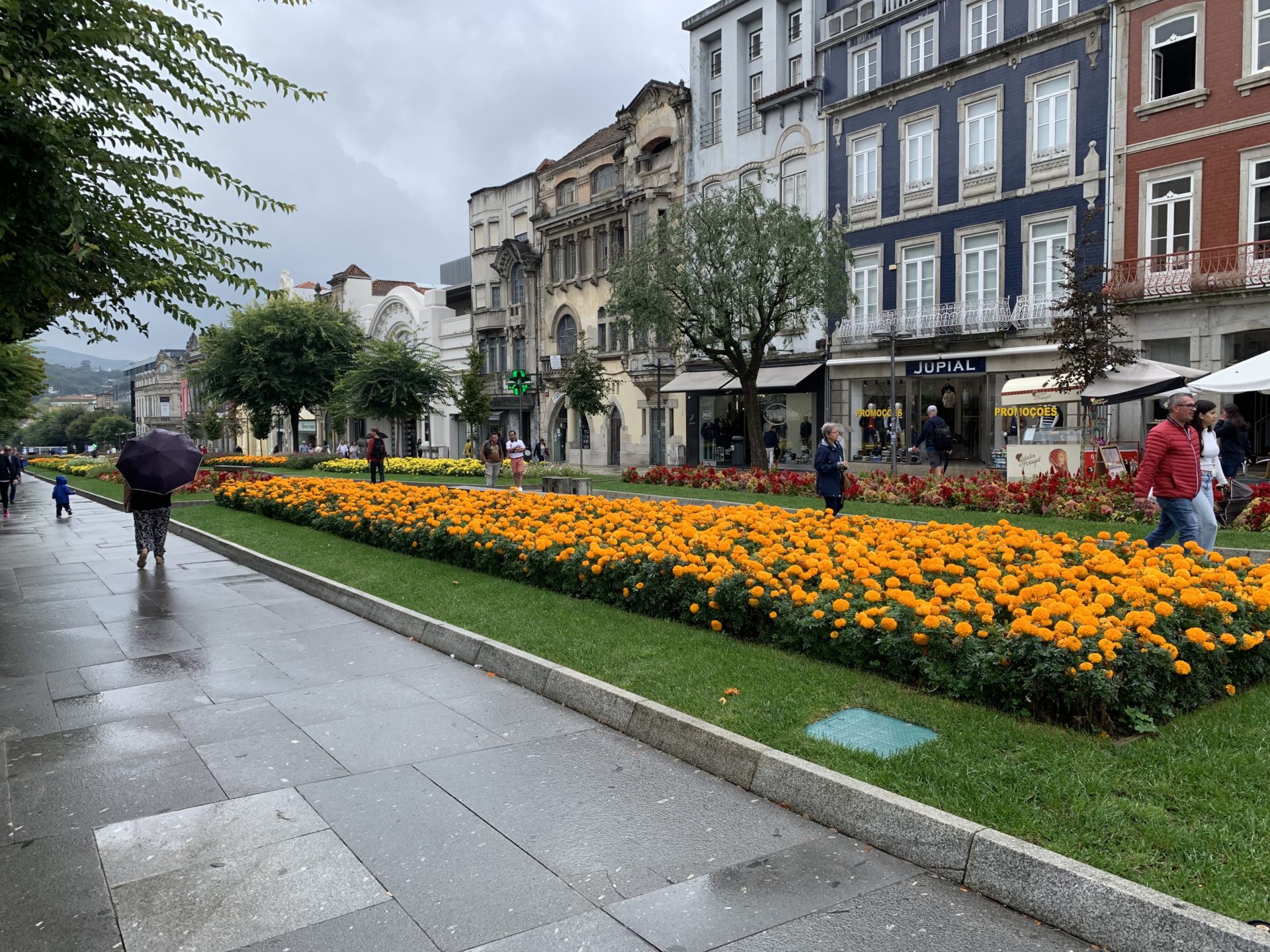 Digital Nomad in Portugal?