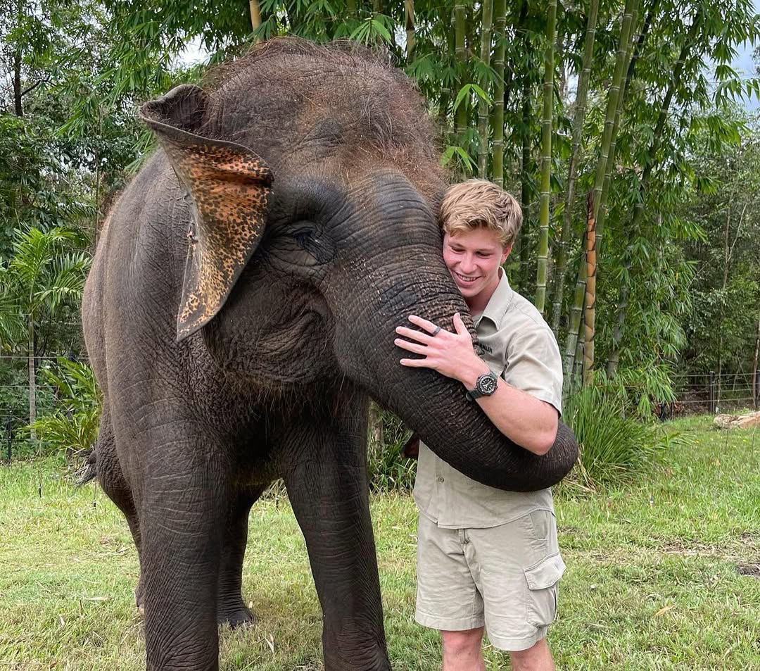 SnapInsta.to 531209470 18384154708133530 3822675639611785112 n