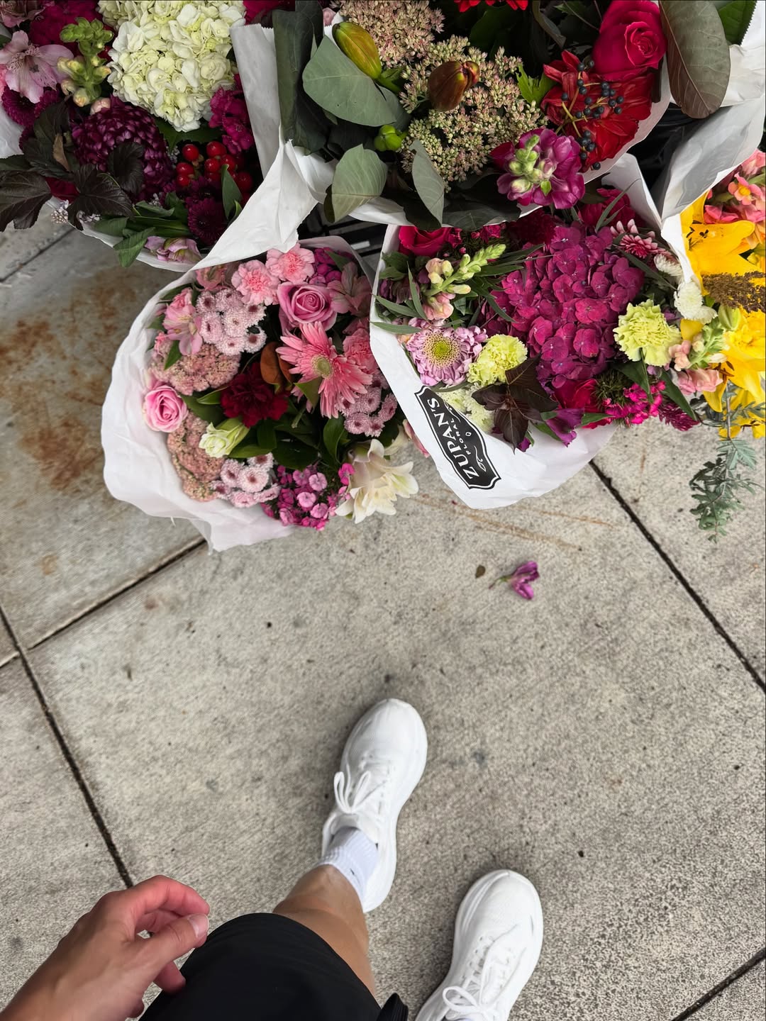 SnapInsta.to 540640396 18083425409506260 4416408967748624164 n