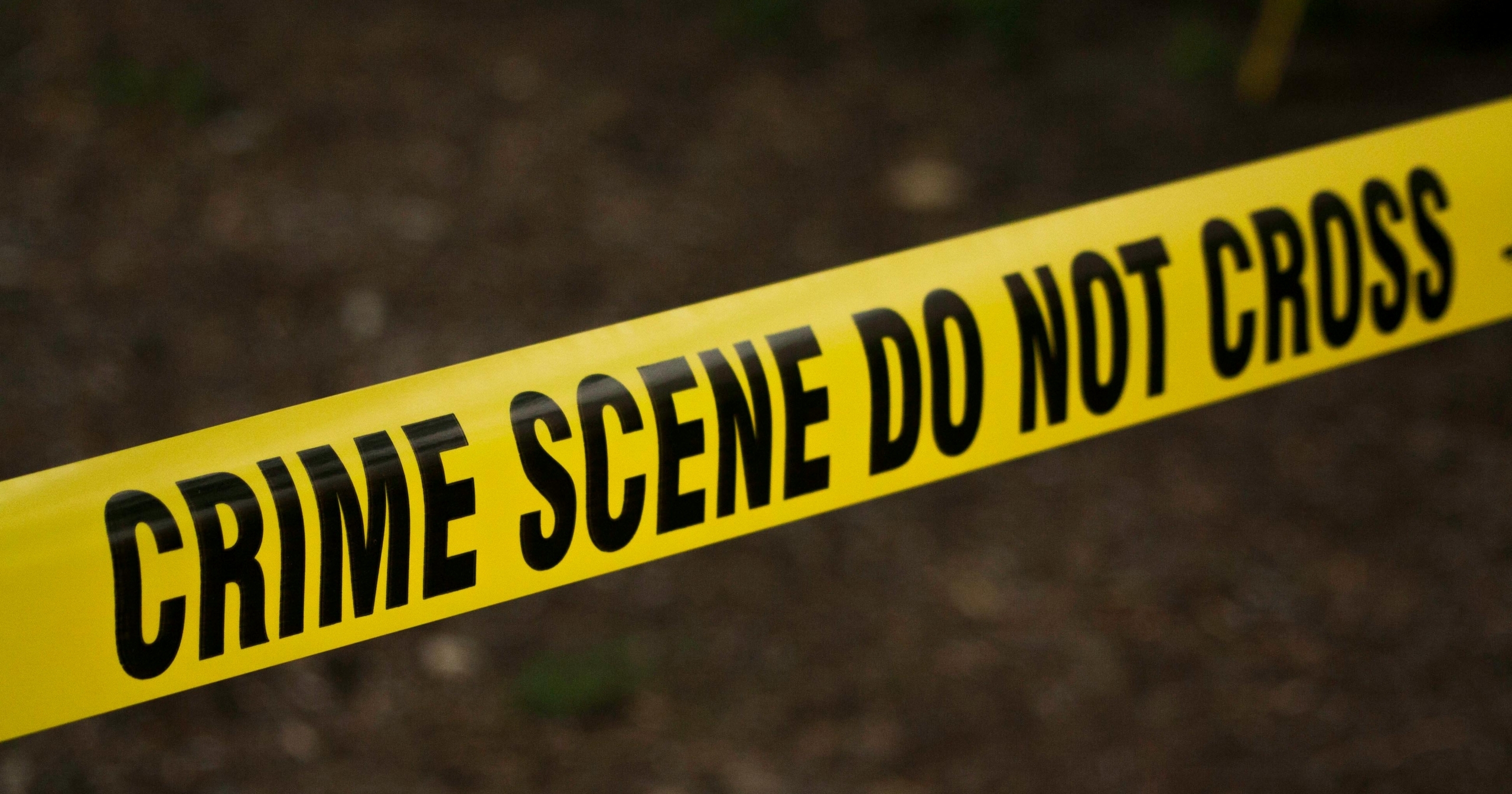 Photo by kat wilcox scaled e1761681355464