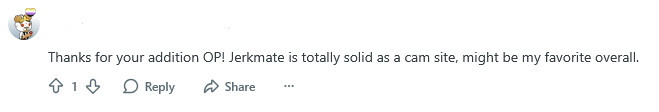 Screenshot 2025 10 28 at 19 54 21 So I just tried Jerkmate. My honest review r camtocamsites
