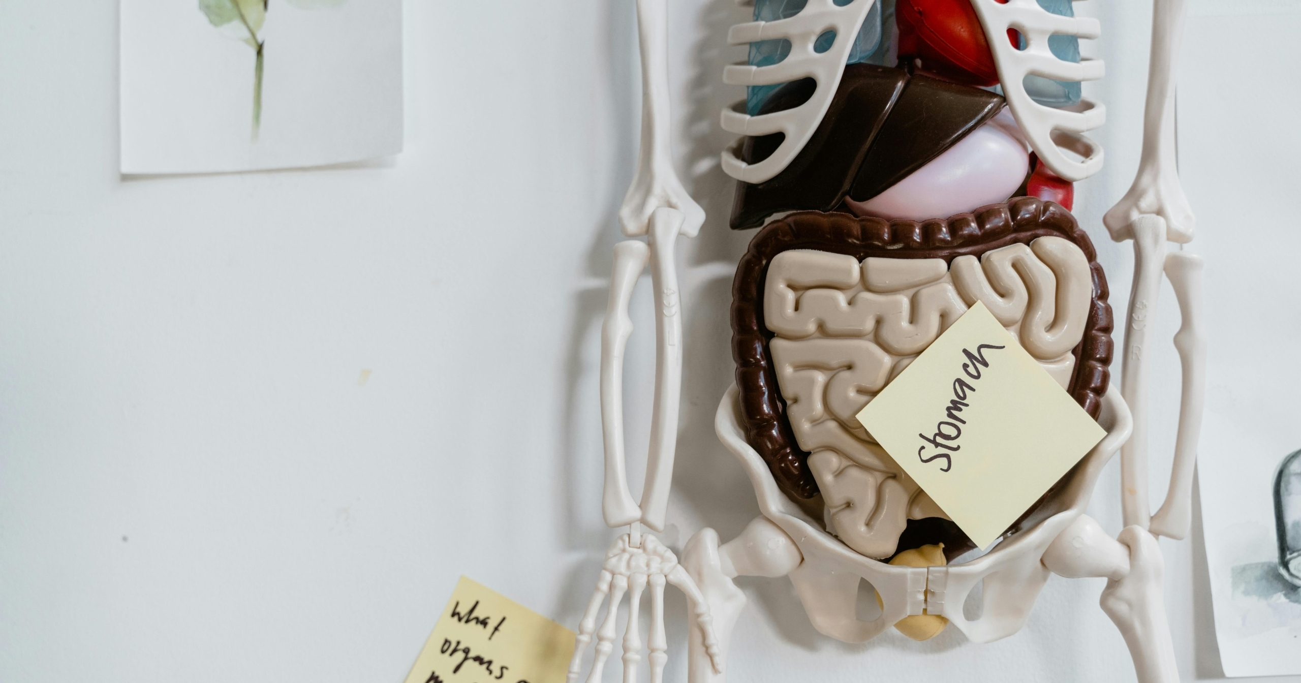 Photo by MART PRODUCTION