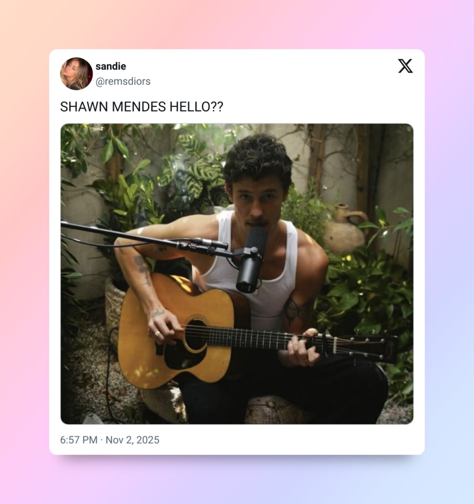 tweet 1984937864522780748 20251106 001644 via 10015 io