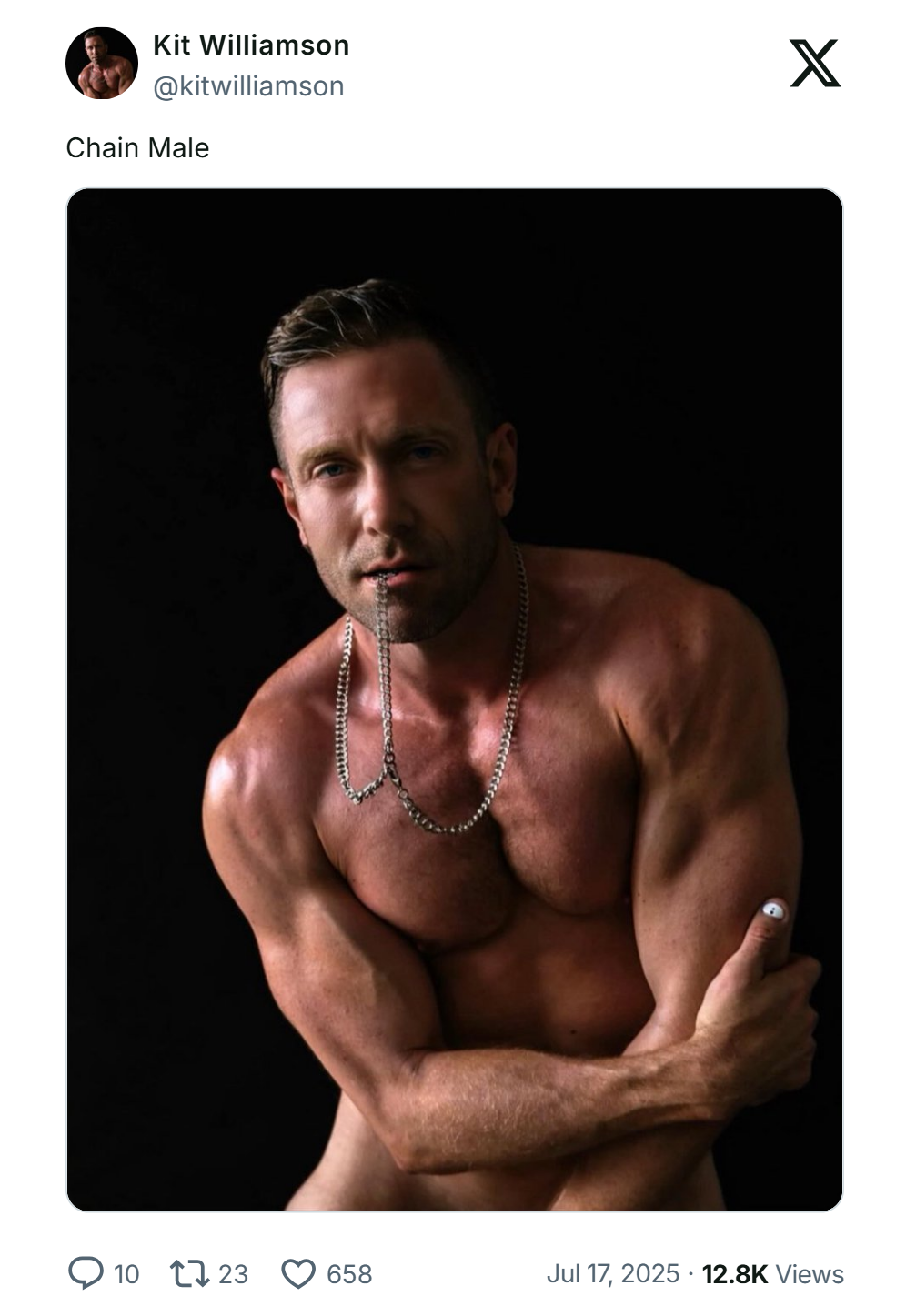 twittershots kitwilliamson 1945627292333736281