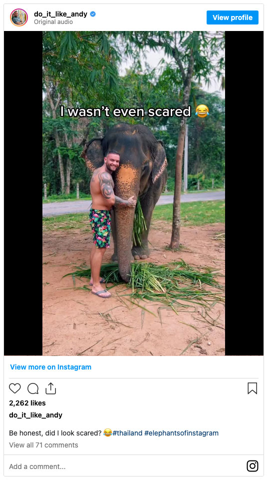 Andy Lee met an elephant