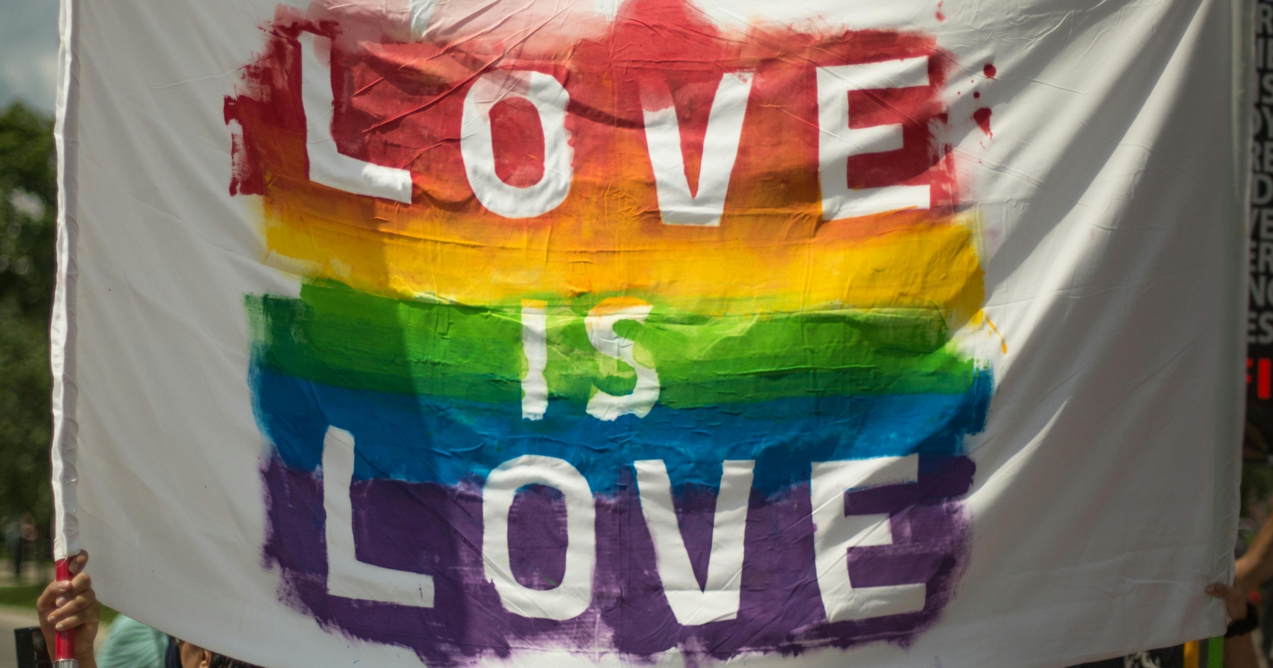 Photo by 42 North scaled e1766082756654