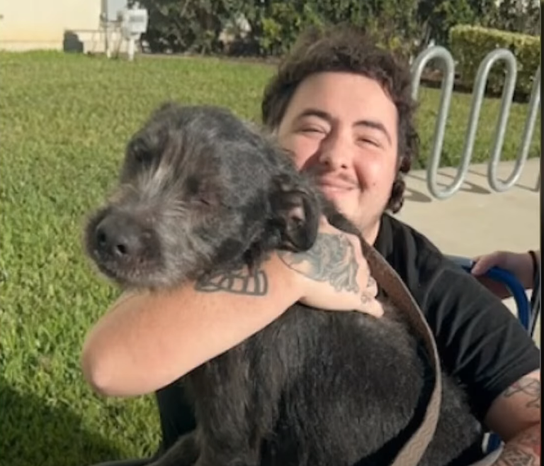 Screenshot 2025 12 09 230903