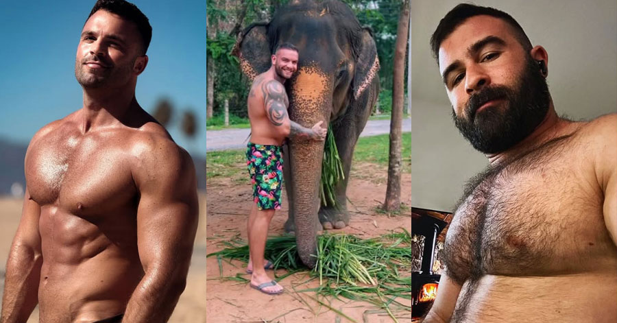 Gustavo Naspolini, Andy Lee and Dani Garrido (via Instagram)