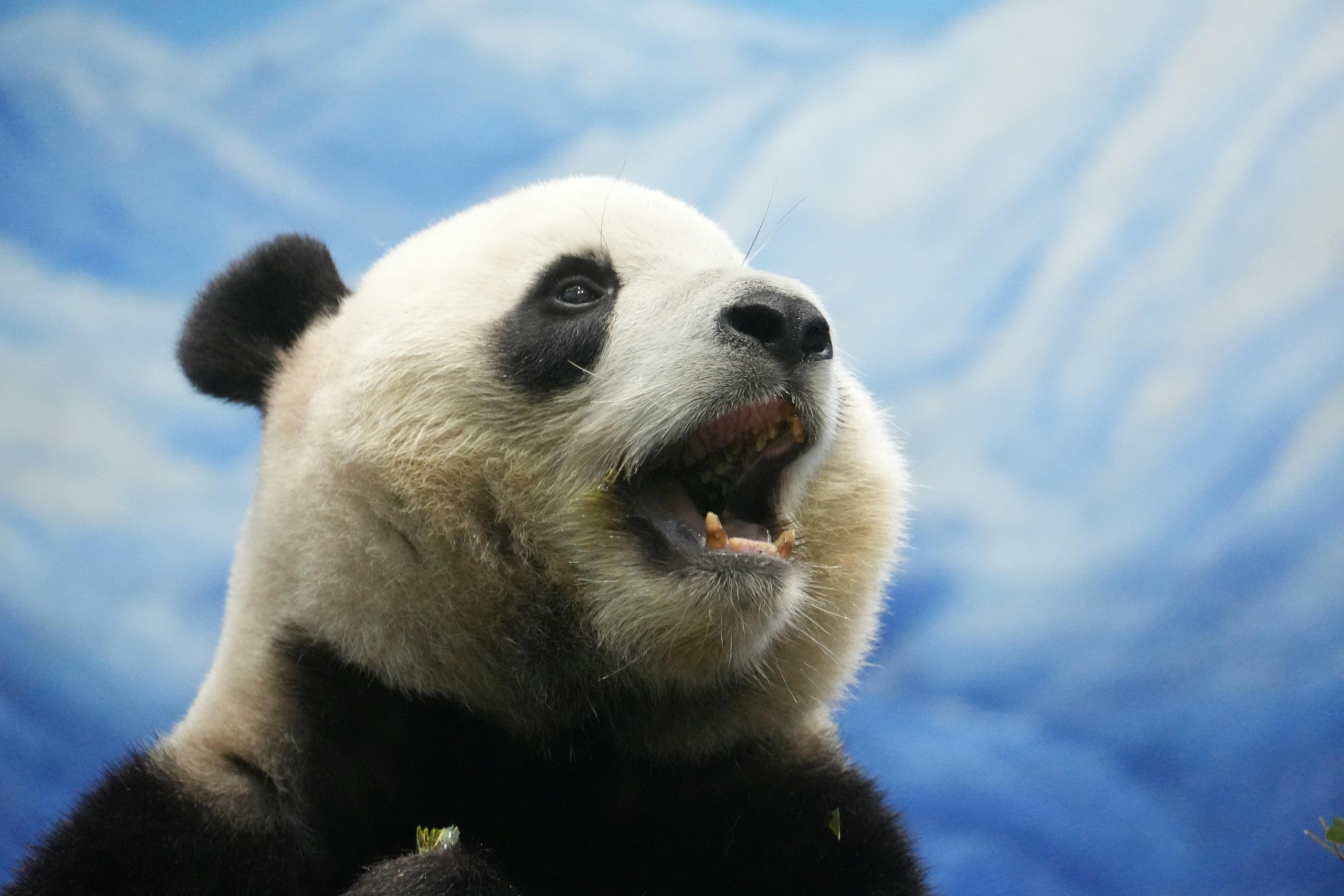 Photo by Snow Chang 1 scaled