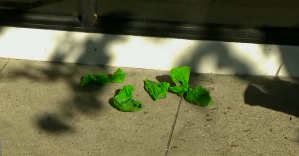 Screenshot 2026 01 16 010816 e1768497859353