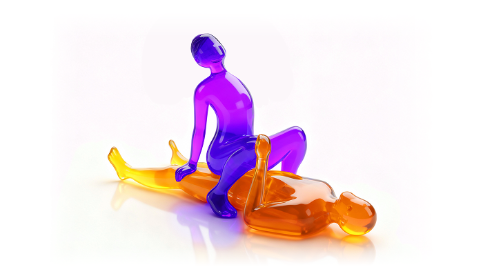 Cowboy or Cowgirl Sex Position