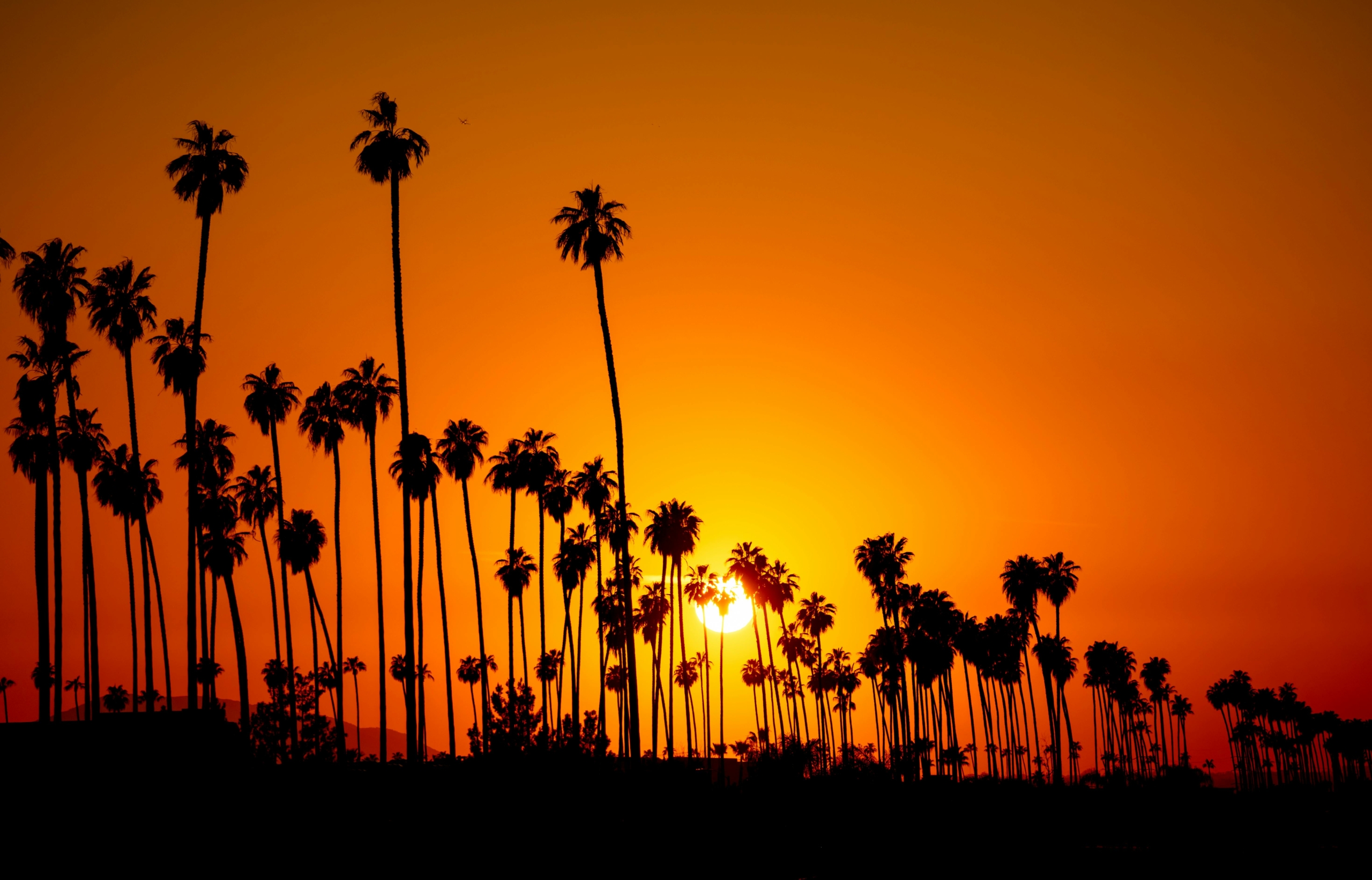 Photo by Soly Moses scaled