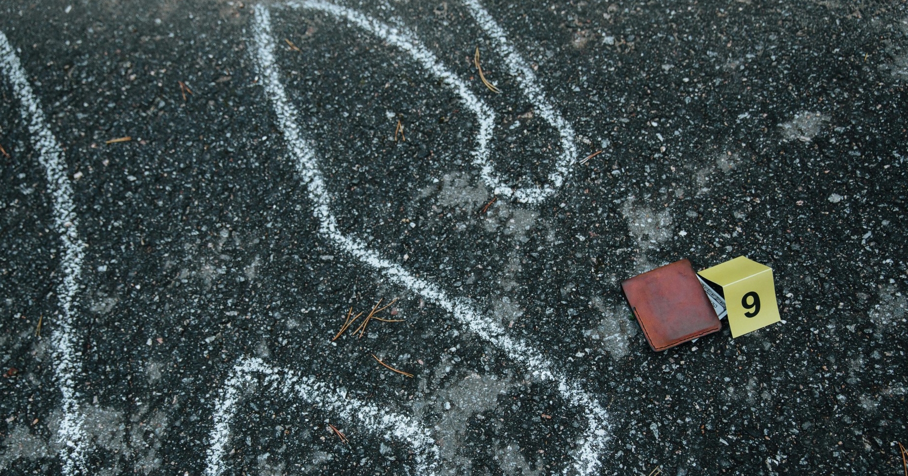 Photo by cottonbro studio 2 e1771945725502