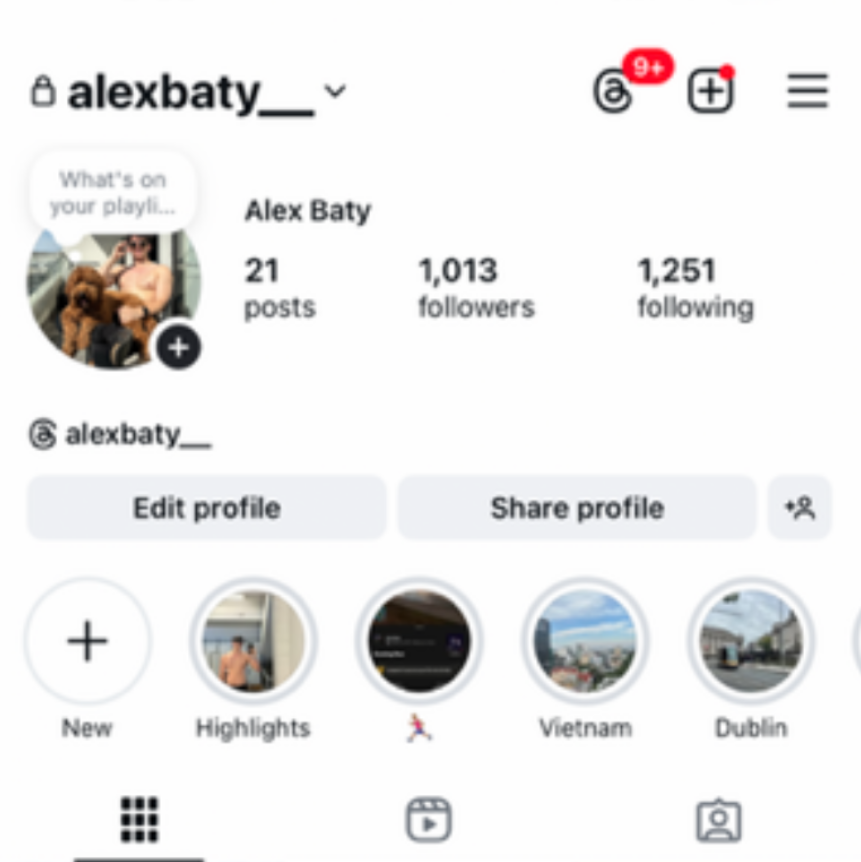 A screenshot of Alex Batys Instagram account before he was banned from the platform