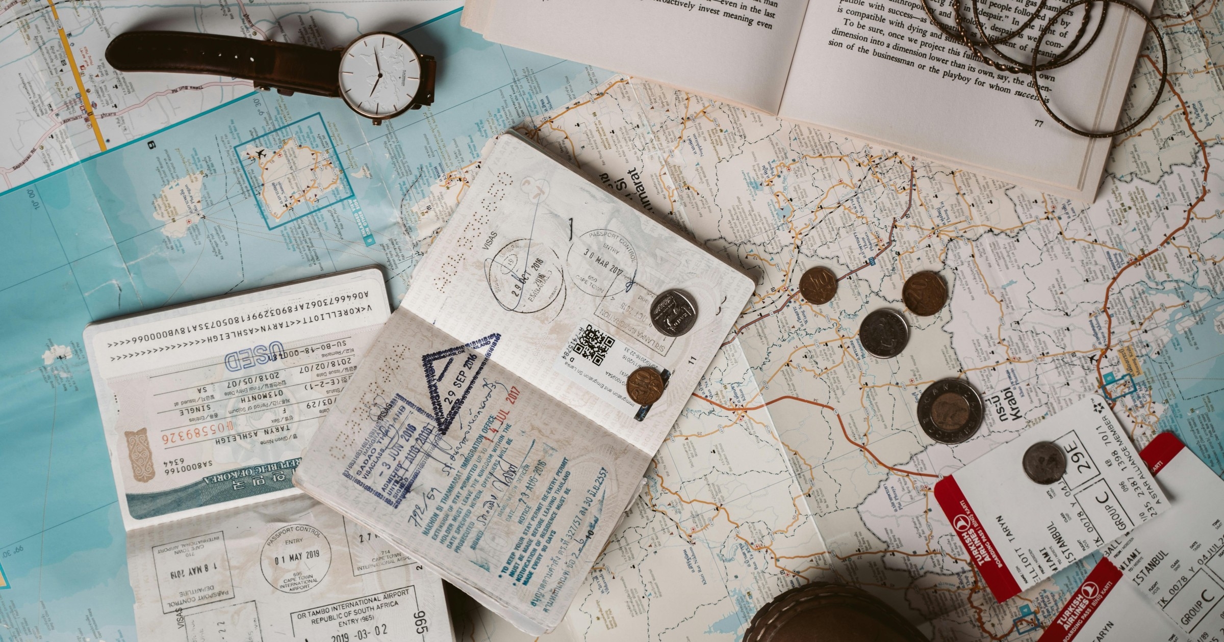 Photo by Taryn Elliott e1773395709246