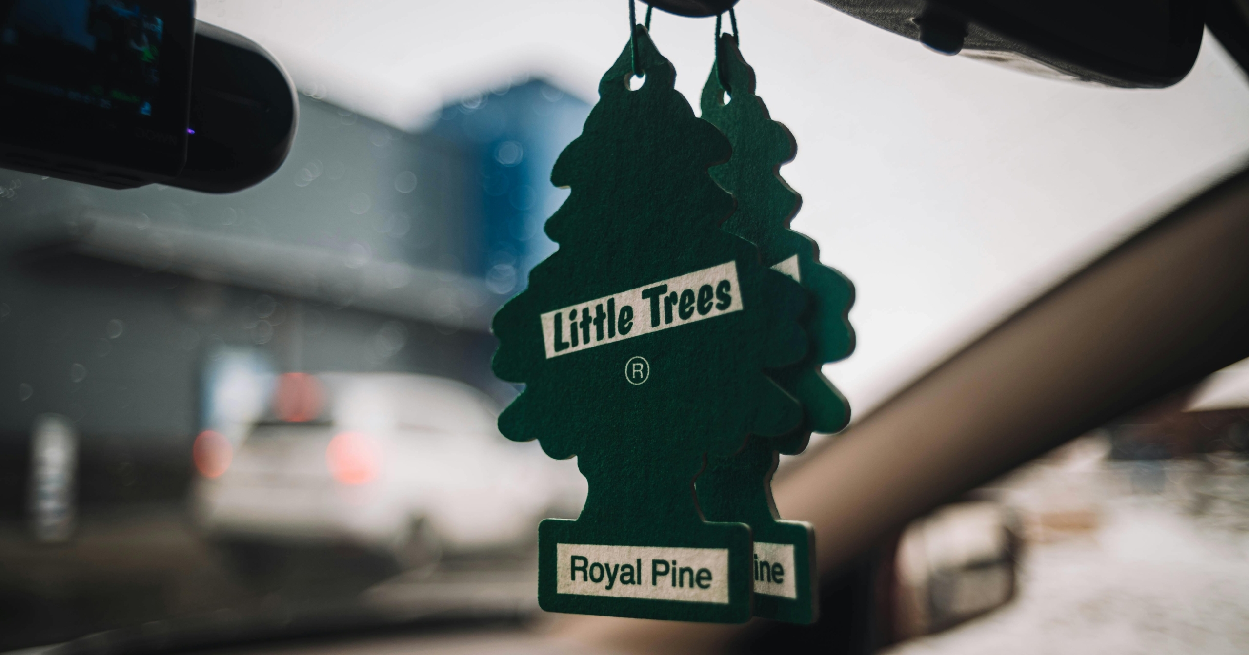 Photo by David Guerrero scaled e1775809896219