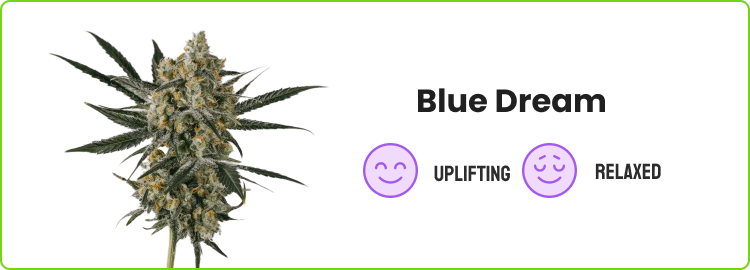 Blue Dream