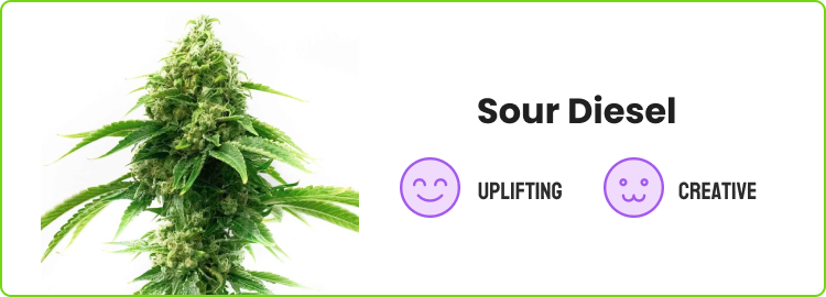 Soul Diesel