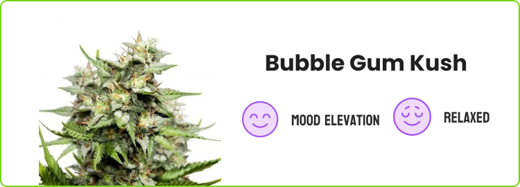 Bubble Gum Kush