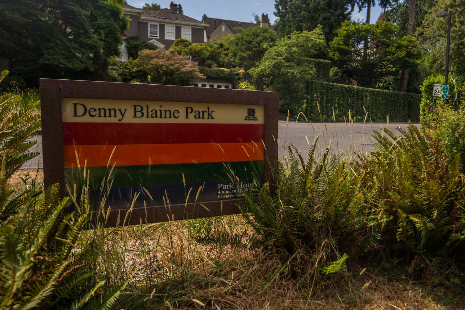 DennyBlainePark3