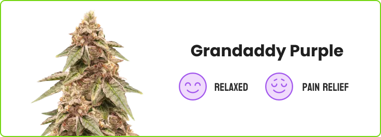 Granddaddy Purple