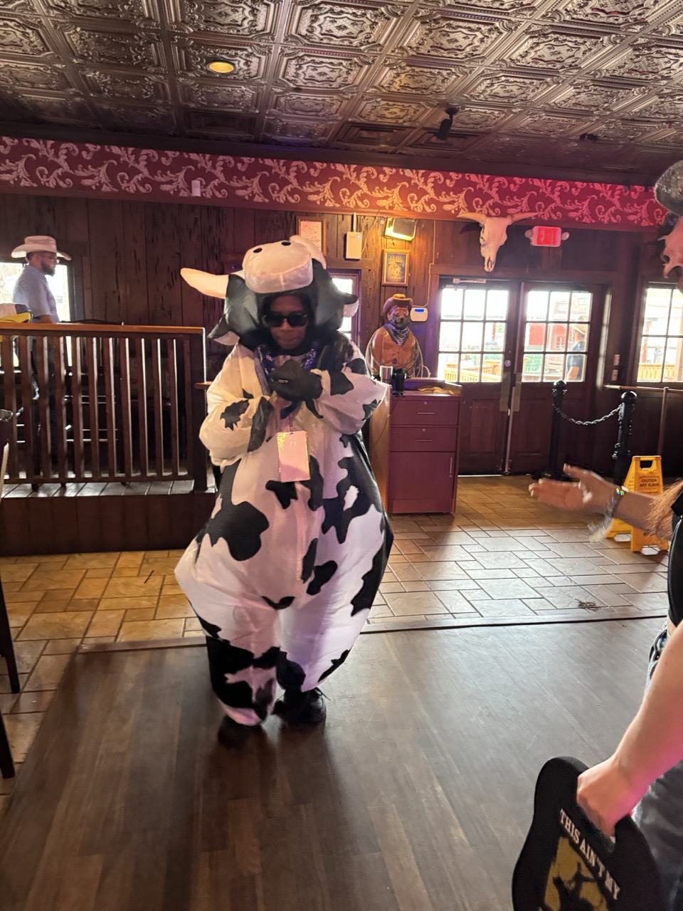 IMG 5135 Large