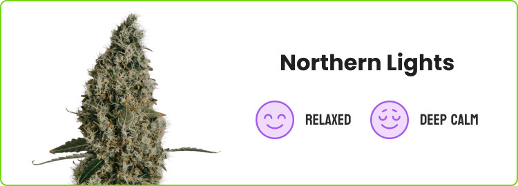 Northern Lights